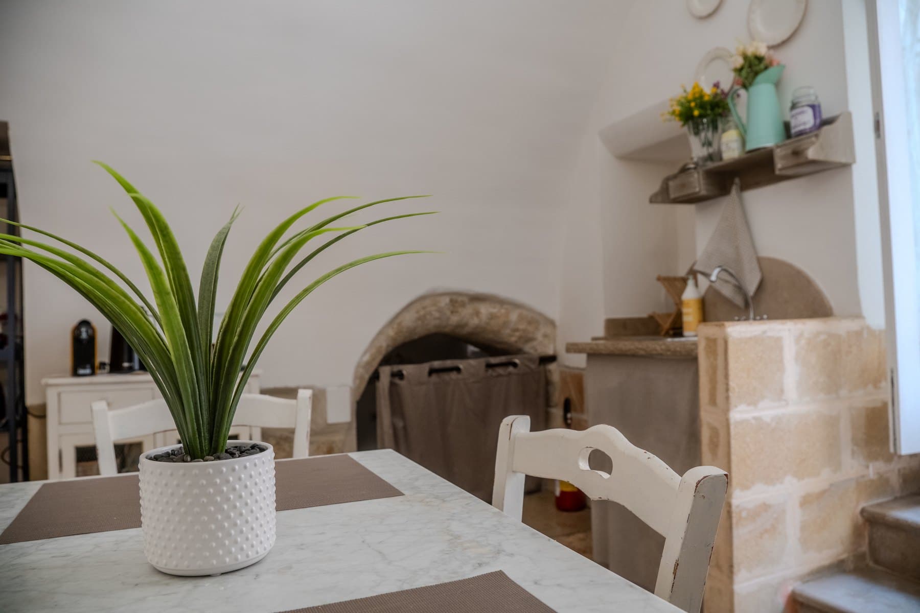 Il tavolo da pranzo in marmo con la pianta in primo piano e la cucina sullo sfondo
